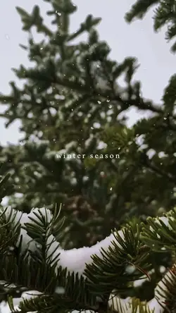 Winter Season