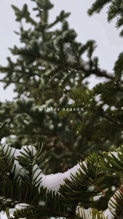 Winter Season
