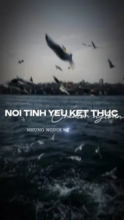 BEAT 2 ẢNH VÒNG LẶP