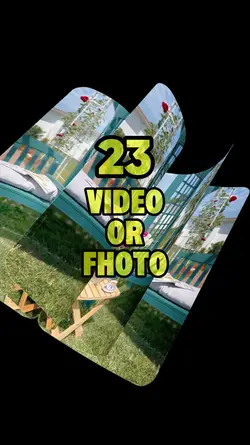 Flower in the Garden