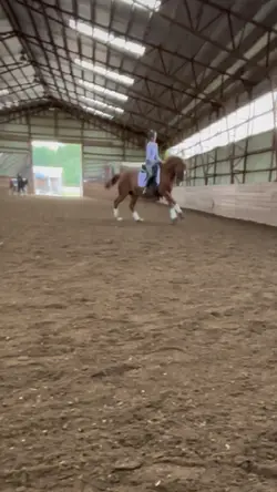 flying change! | 🥳-b