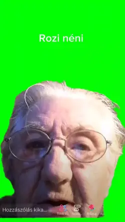 Rozi néni 