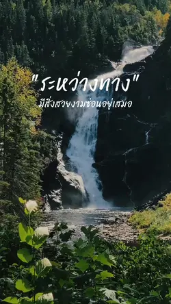 มีสิ่งสวยงามซ่อนอยู่เสมอ