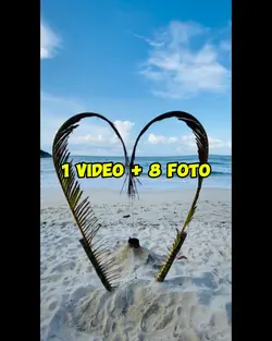 1 video 8 foto