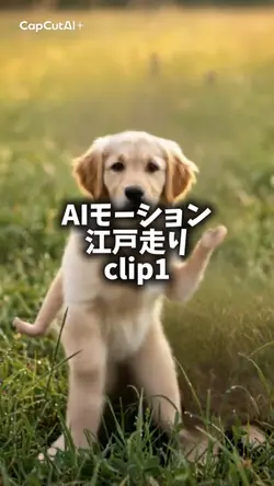 AIモーション/江戸走り