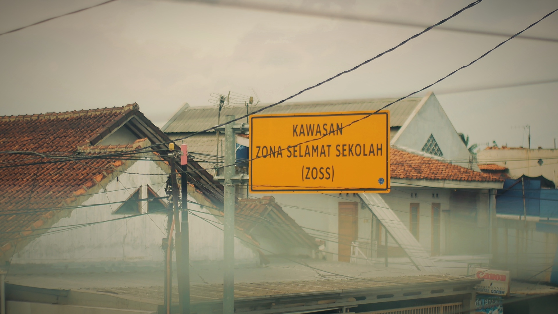 İnsanlar soruyor
