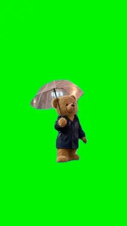 Walking in the rain 