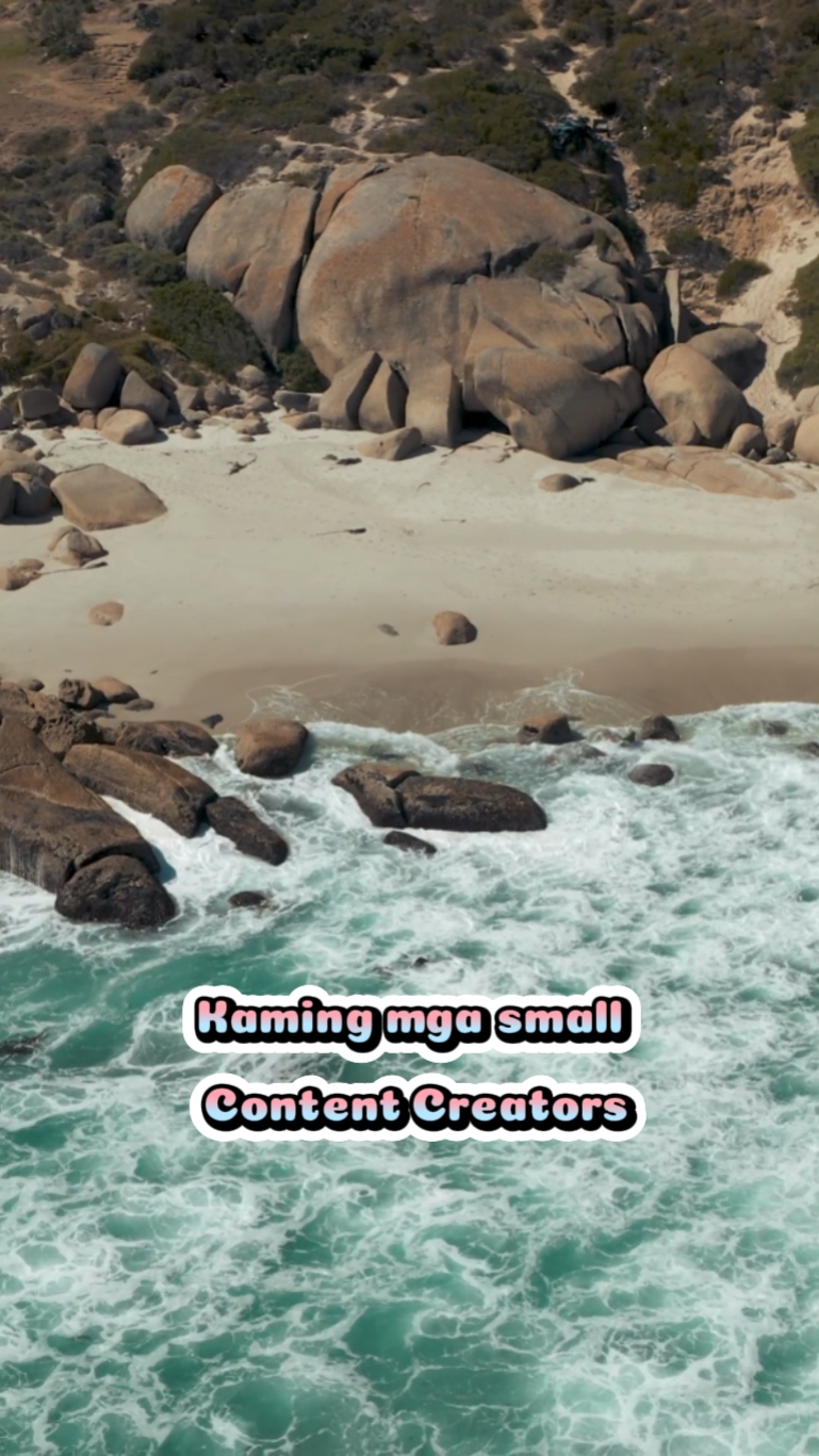 Content Creators