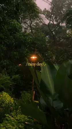 Rainy day