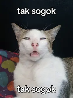 tak sogok tak sogok
