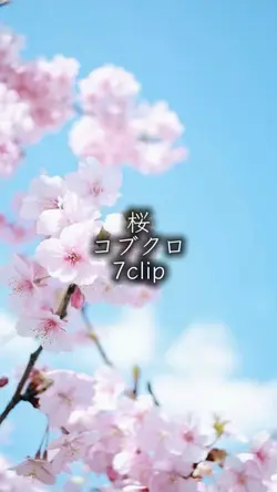 桜 コブクロ