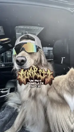 1รูป กำลังฮิต