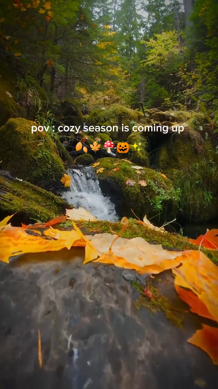 autumn is coming 