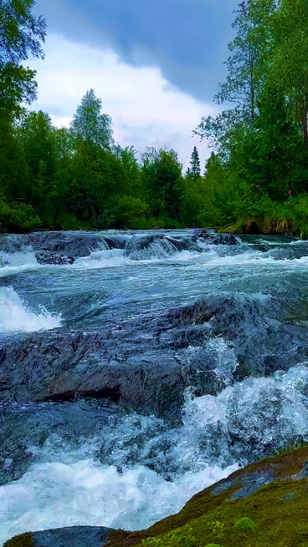 Naturaleza • Cinemática