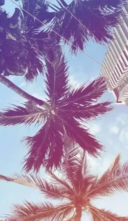ig text