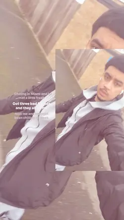 Chillin In Miami 🦩