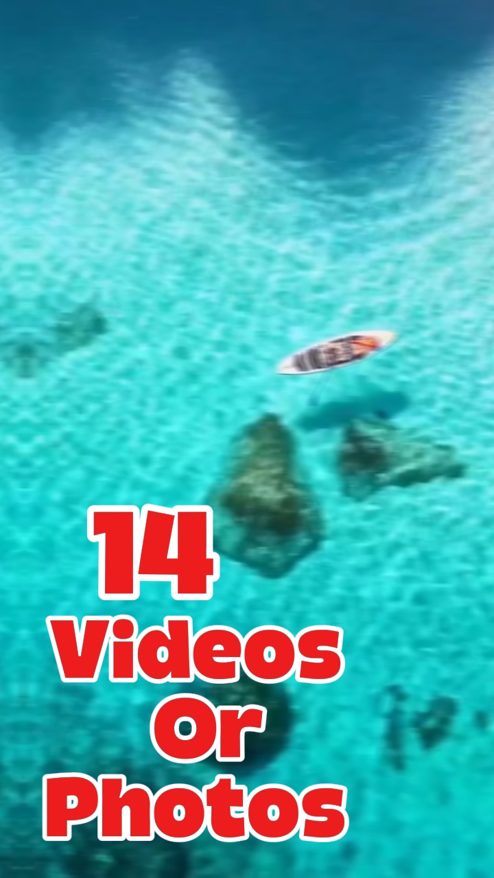 14 videos or photos 
