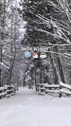 Hello Winter 