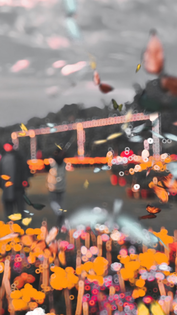 Cover Picture