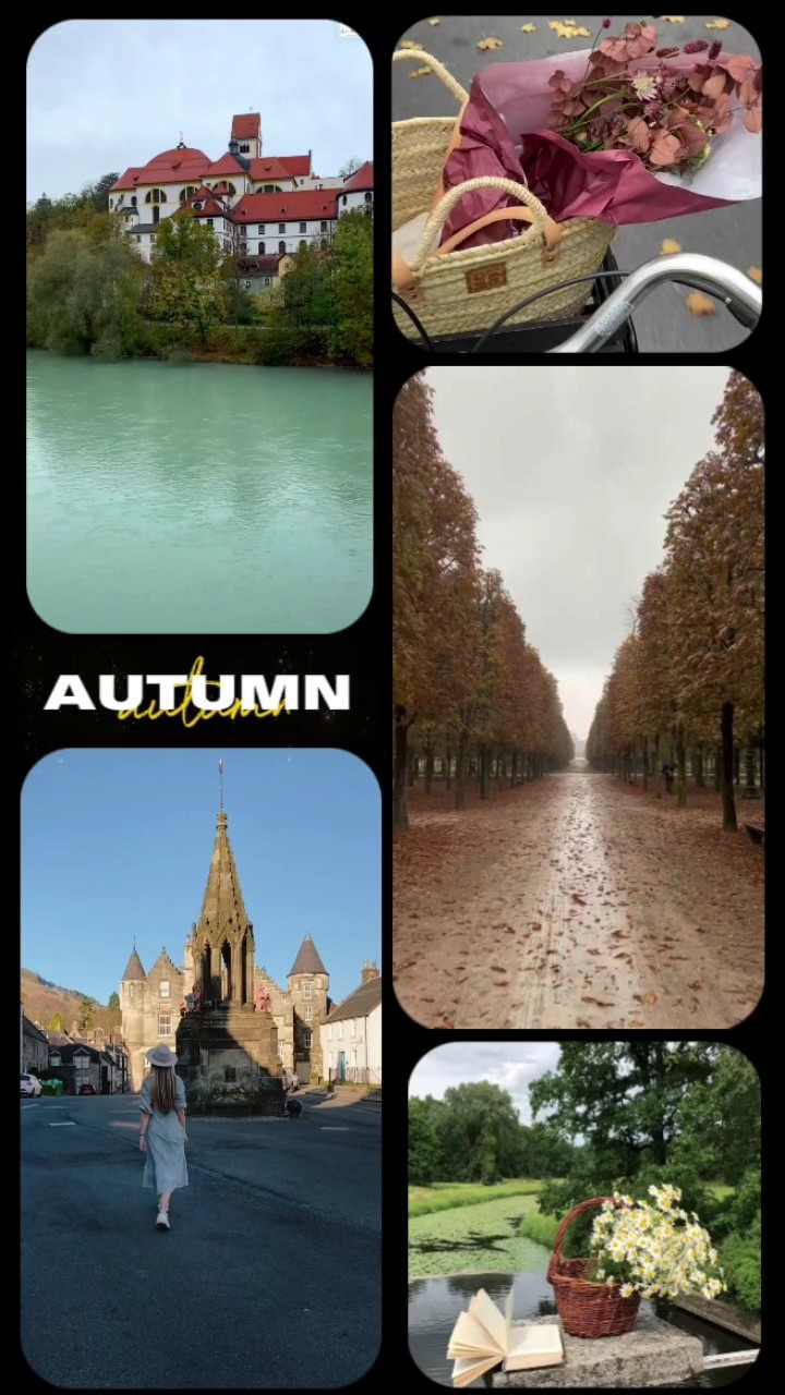 Autumn vibes