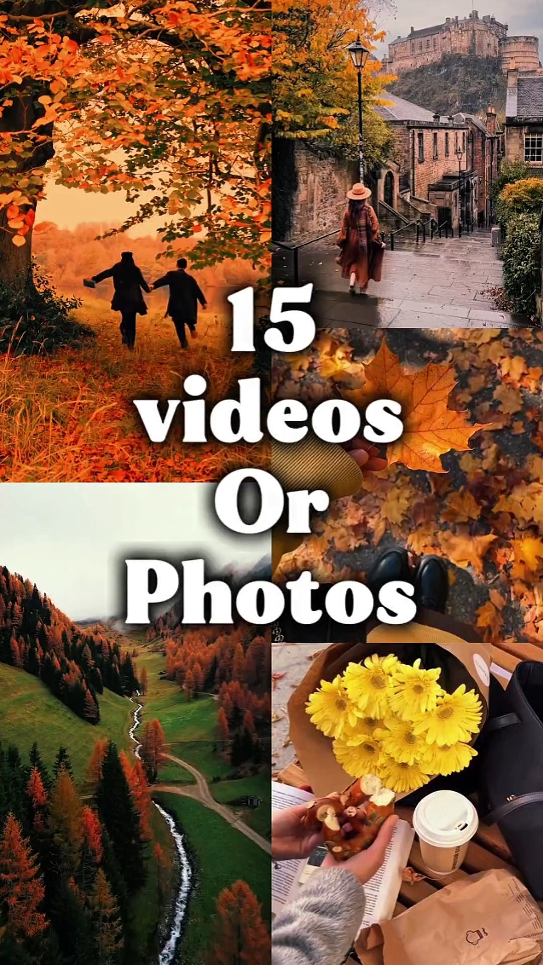 autumn vibes 