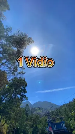 1 Vidio