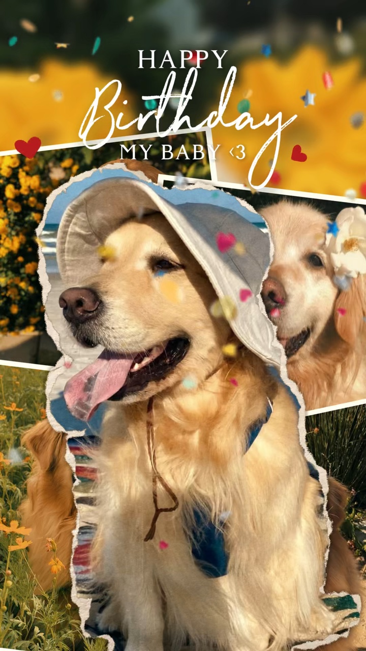 Aniversário Animal De Estimação🌷🎂