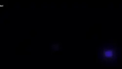 best 1 ảnh đeo tai