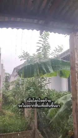 เมื่อโลกโหดร้ายจะไม่