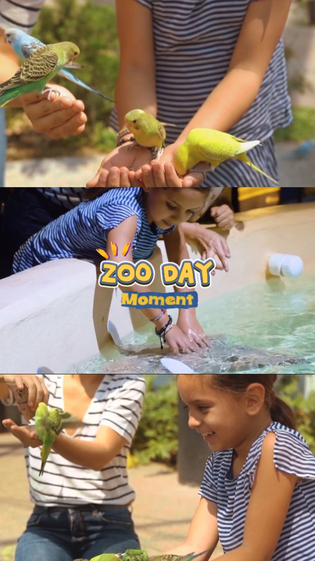 Momento del día del zoológico