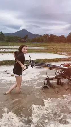 ซื้อปุ๋ย 