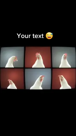 Funny chicken dance 