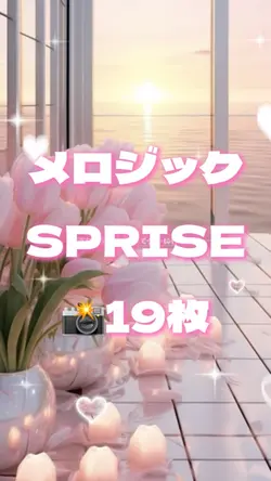 🎵メロジック SPRISE 📸19枚