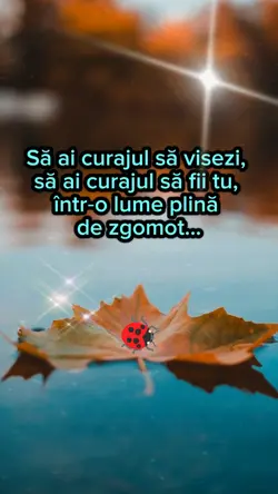 Strălucește.
