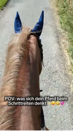 Hahahah😛💘✨🤞🏻😼