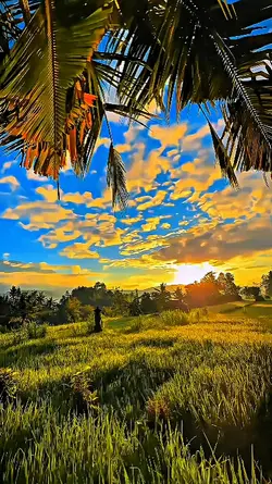 filter hd jernih