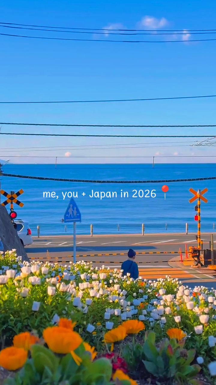 Eu, você + Japão em 2026
