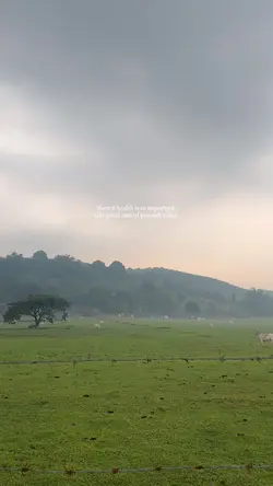 Mental Health 