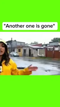 Reporting