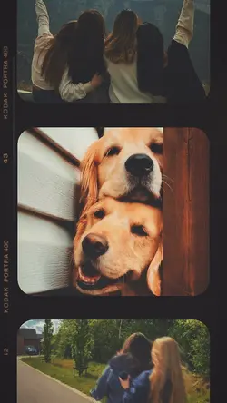 Photo Film Roll