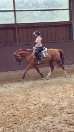 dressage slomo