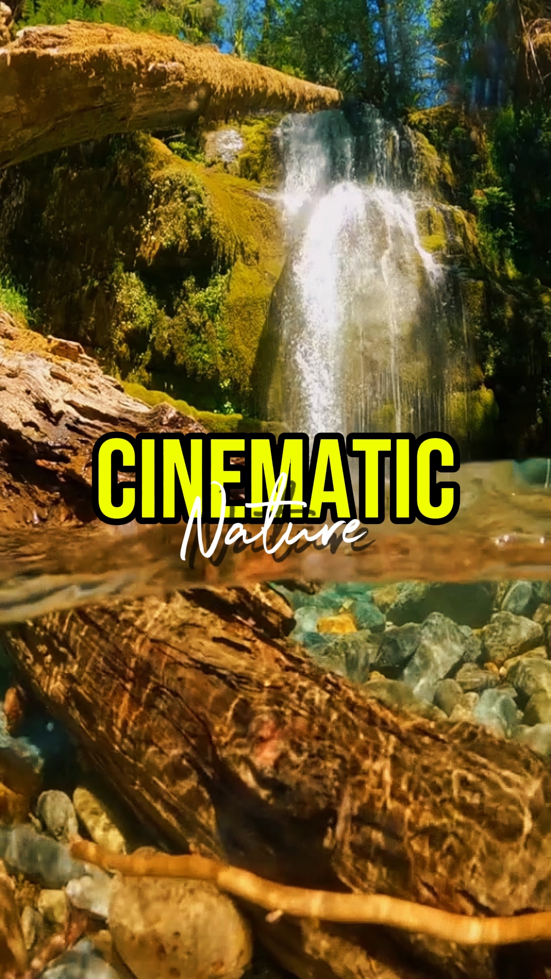NATURE CINEMATIC