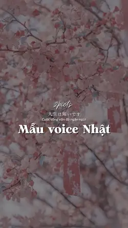 Mẫu voice Nhật