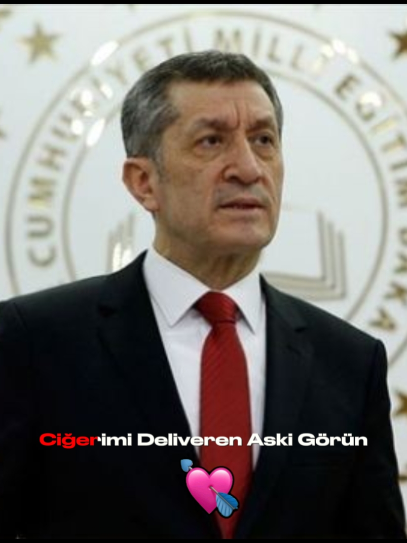 Ziya Selcuk Gelsin