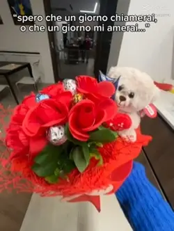 Spero che un giorno