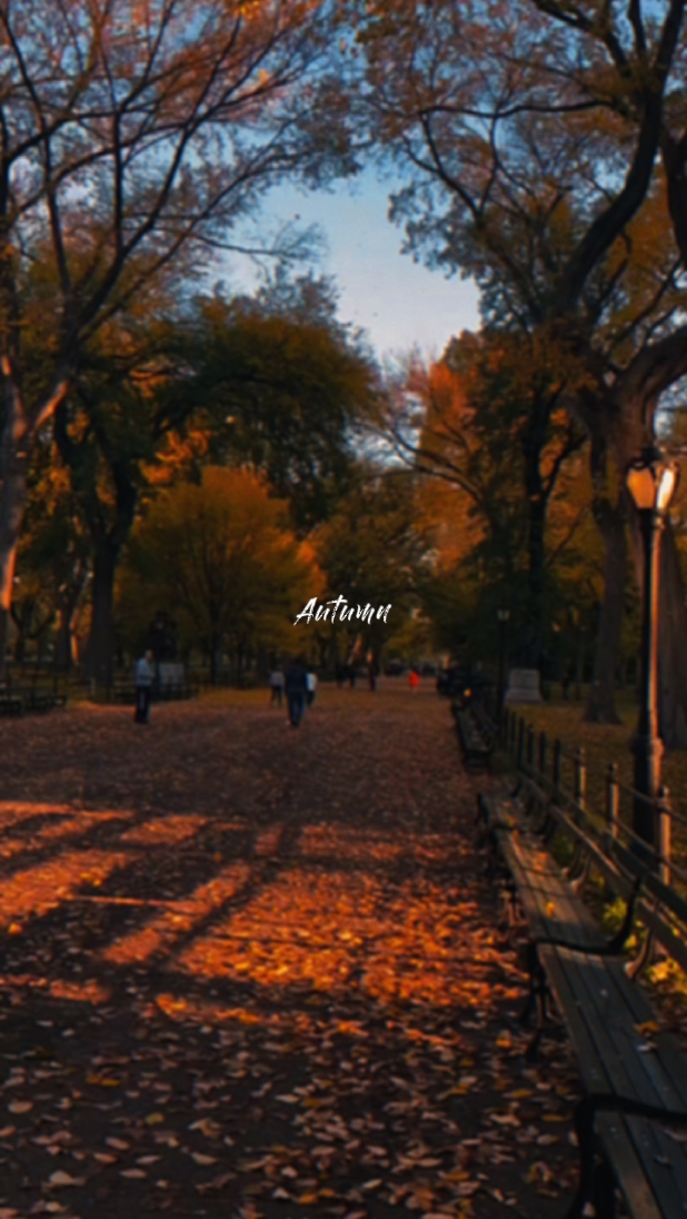 Autumn