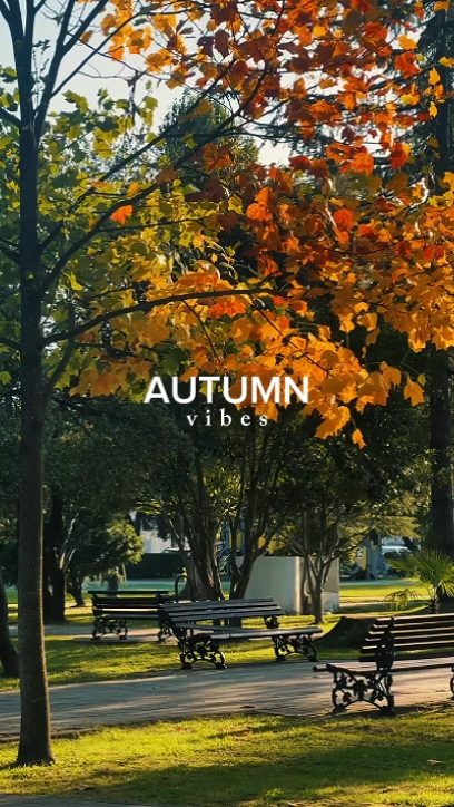 autumn vibes