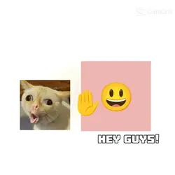 My NeW cAt