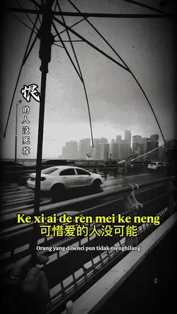 可惜爱的人没可能