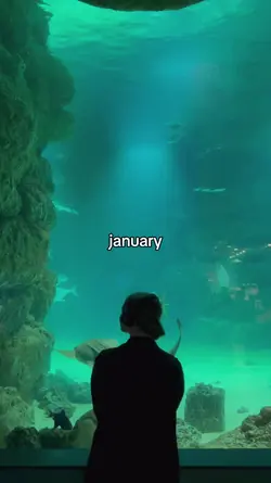 january - december